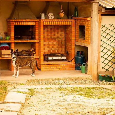 Casa Do Quintal Holiday home Maiorga
